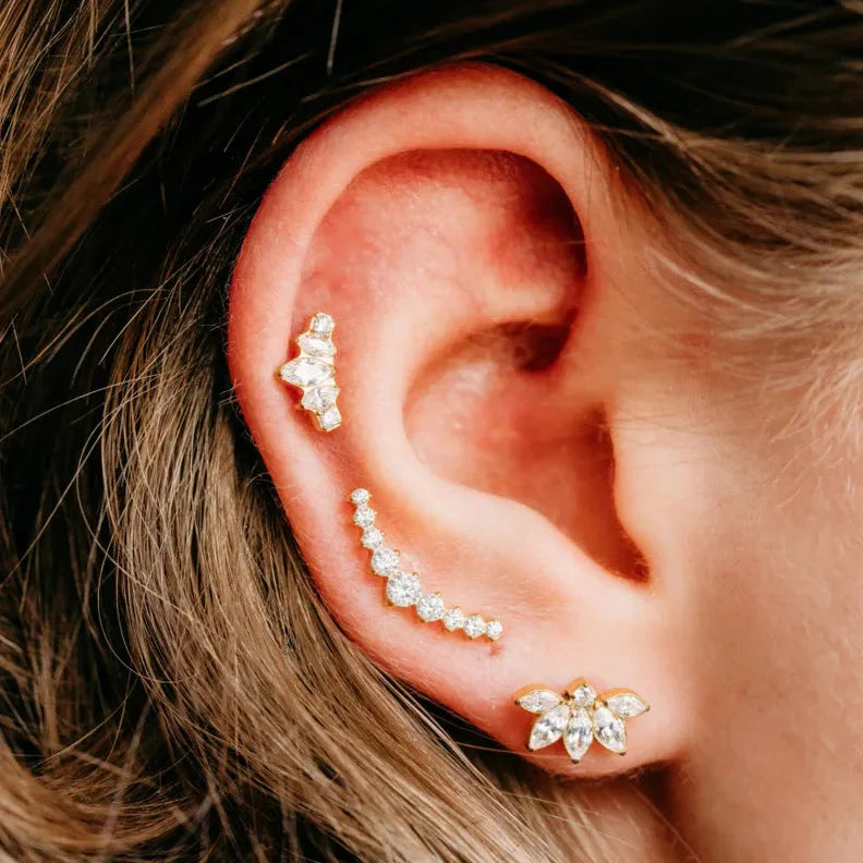 Victorian Flat Backs